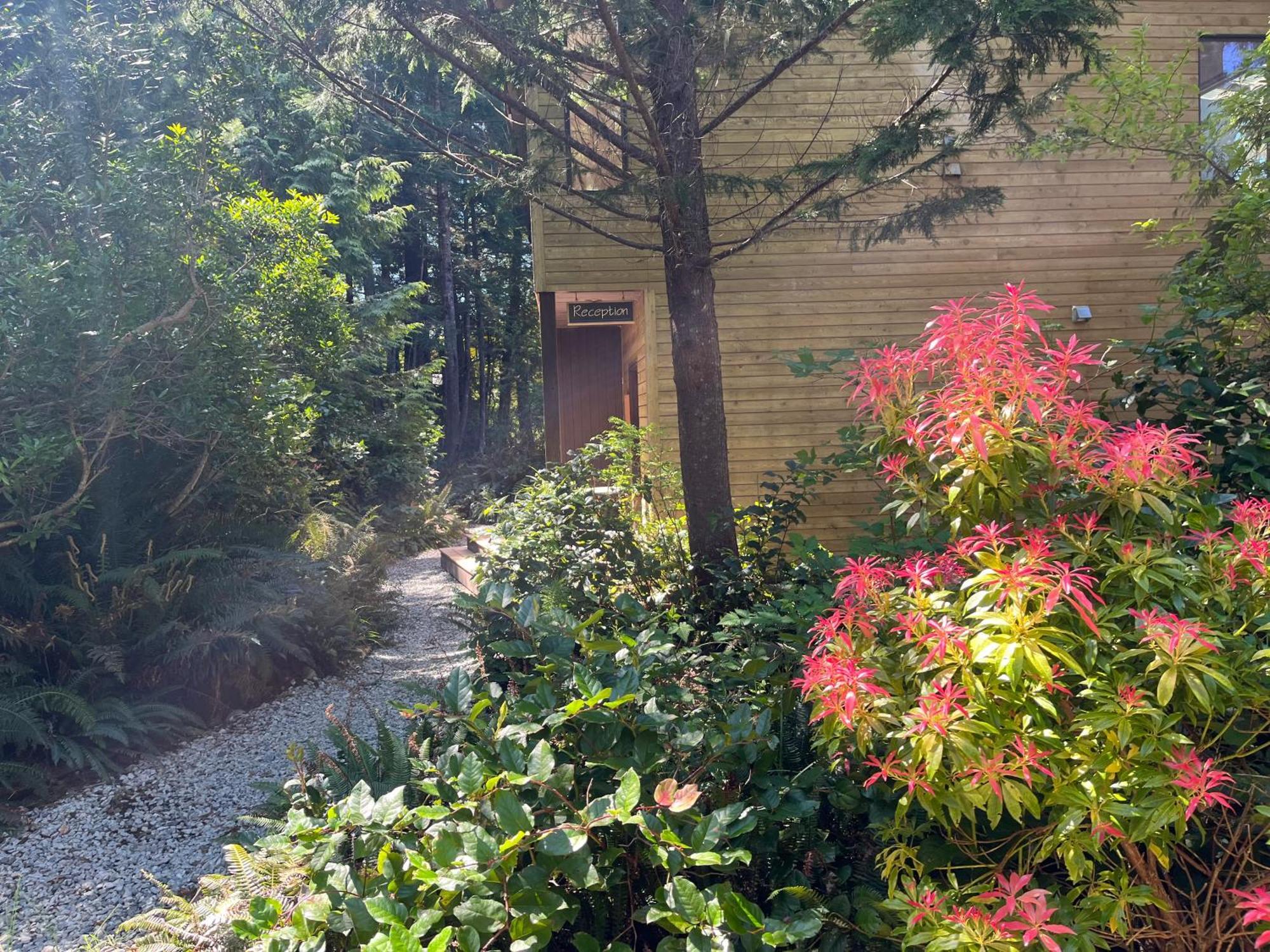 Hyphocus Inn Ucluelet Ngoại thất bức ảnh